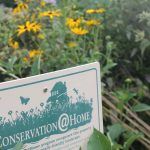 Conservation In the ‘Burbs