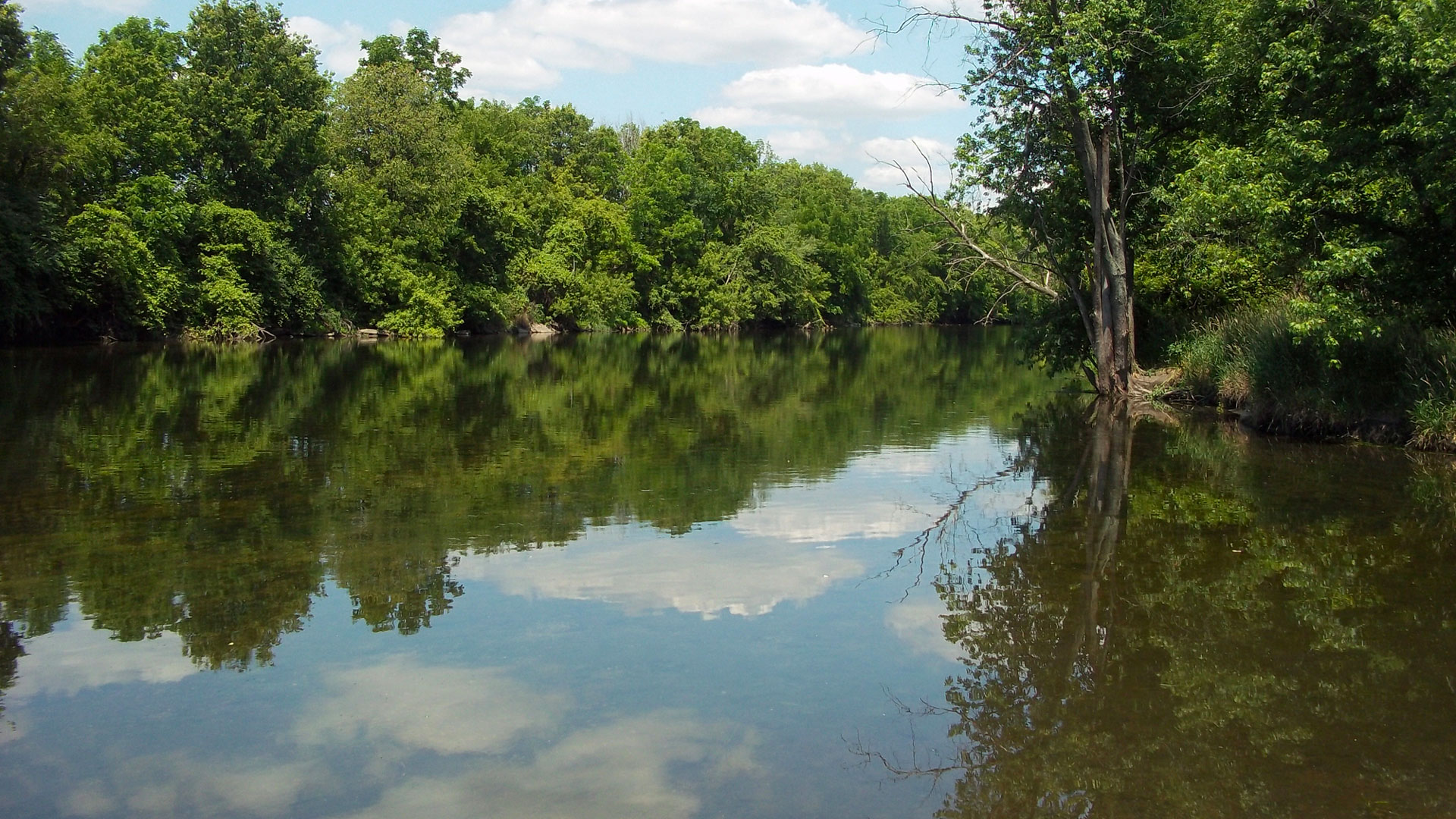 Lower DuPage River picture