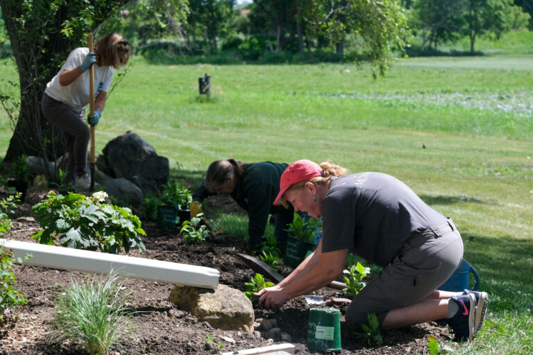 volunteers gardening picture