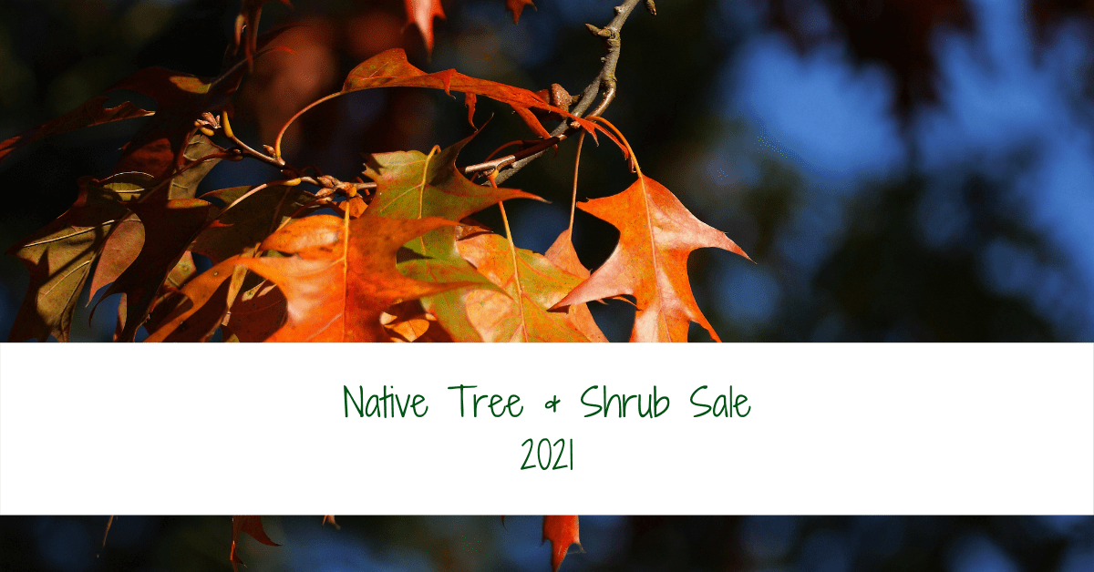 Native Tree & Shrub Sale 2021 banner