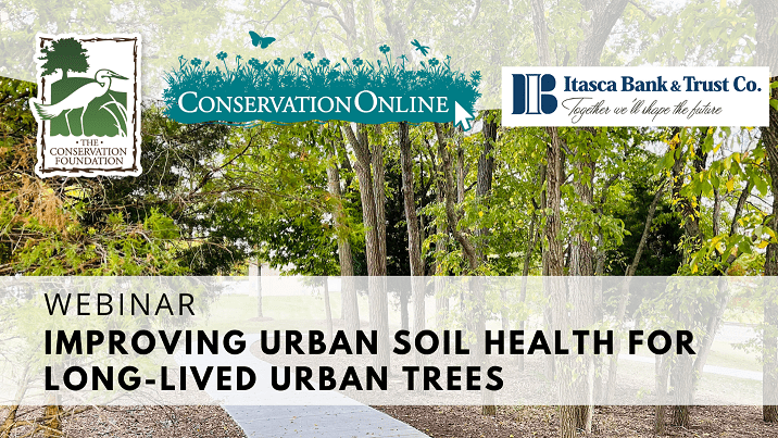 Improving Urban Soil Health for Long-Lived Urban Trees