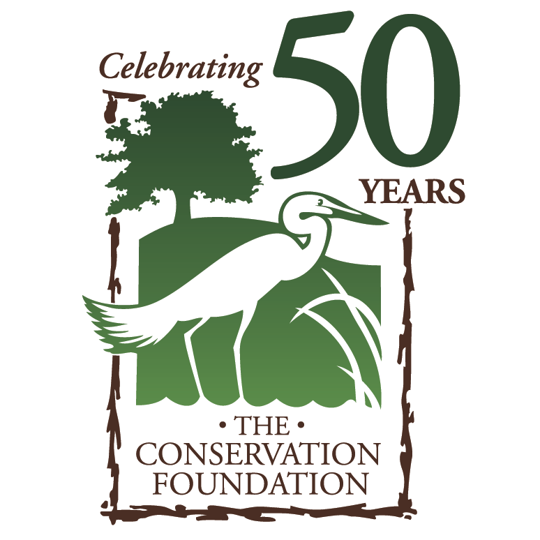TCF 50th logo