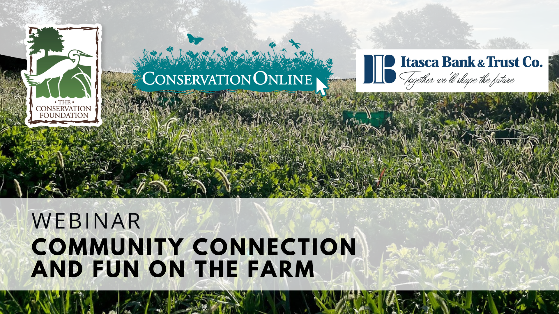 Community Connection webinar banner