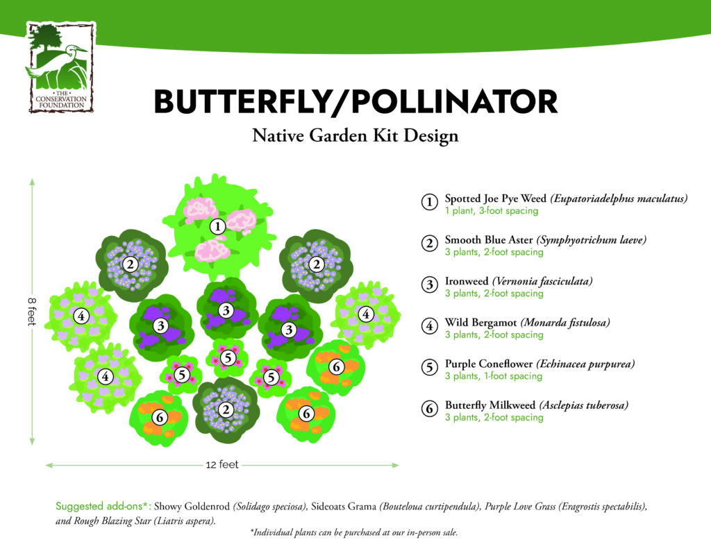 Butterfly Pollinator Kit Design graphic