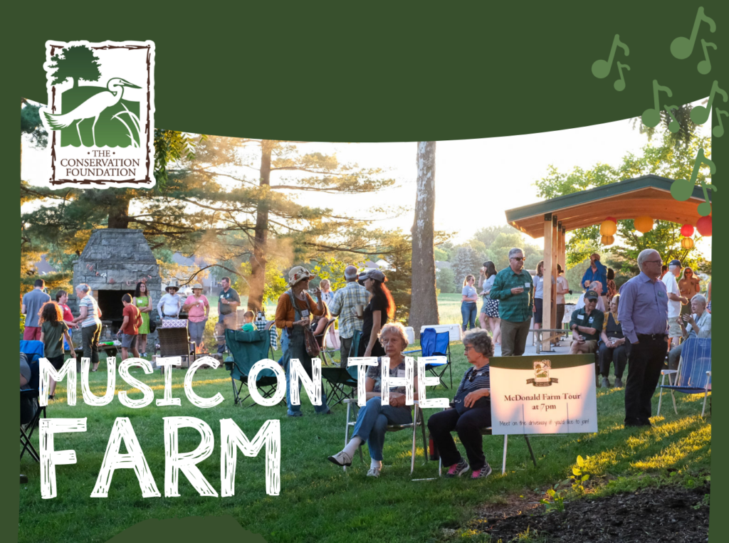 Music on the farm (1)
